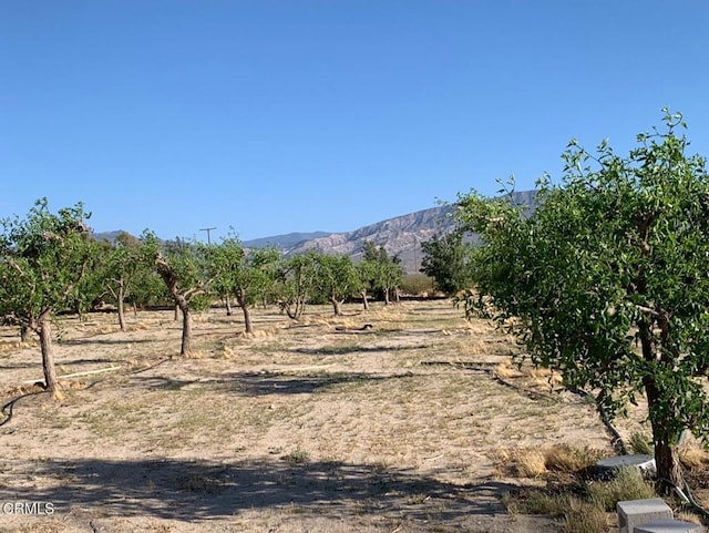 10424 Santa Fe Fire Rd, Lucerne Valley, CA 92356 - photo 2