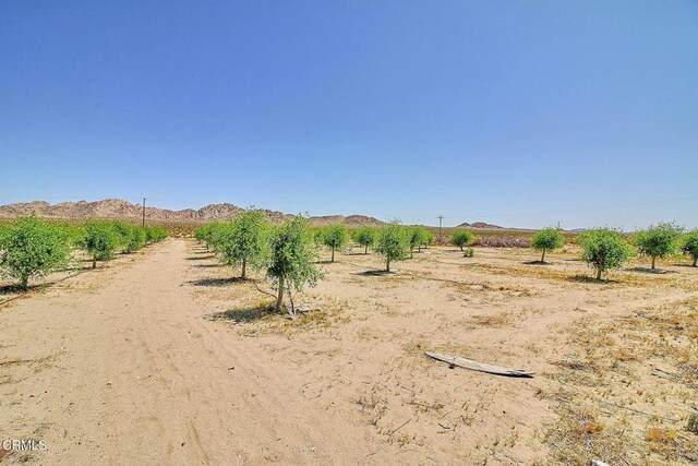 10424 Santa Fe Fire Rd, Lucerne Valley, CA 92356 - photo 38