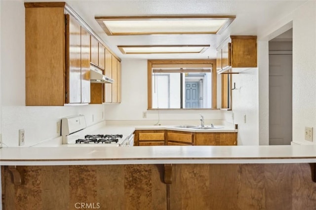 10710 El Camino Real Unit 17, Atascadero, CA 93422 - kitchen with range, under cabinet range hood, a sink, light countertops, and a peninsula