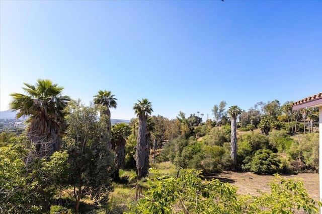 215 Cranston Crst, Escondido, CA 92025 - photo 29