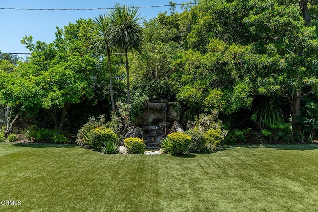 4409 Encinas Dr, La Canada Flintridge, CA 91011 - view of grassy yard