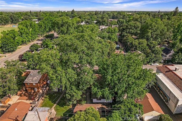 178 E Washington Ave, Chico, CA 95926 - aerial view