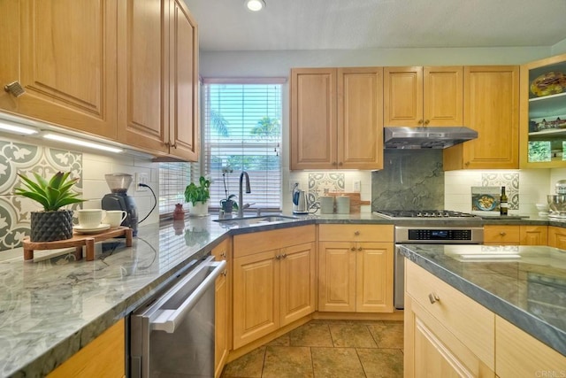 11983 Mountain Pass Rd, San Diego, CA 92128 - kitchen featuring under cabinet range hood, appliances with stainless steel finishes, a sink, dark stone counters, and backsplash