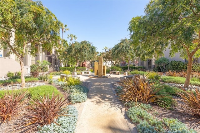 1250 Cleveland Ave Unit C314, San Diego, CA 92103 - view of property's community