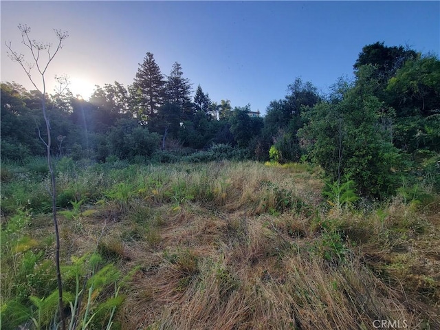 110 Harrier Ave, Vallejo, CA 94590 - photo 6