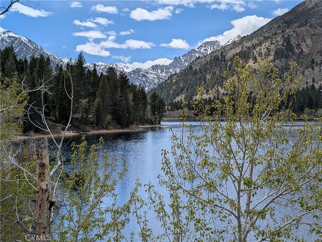 31 Matterhorn Dr, Bridgeport, CA 93517 - water view with a forest and mountains