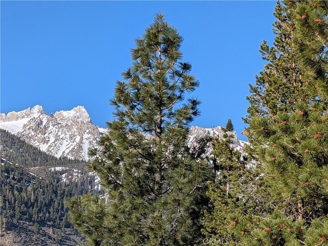 31 Matterhorn Dr, Bridgeport, CA 93517 - view of mountain background