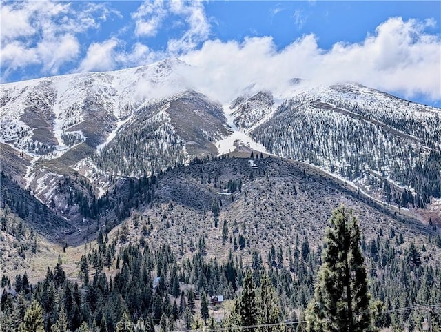 31 Matterhorn Dr, Bridgeport, CA 93517 - view of mountain backdrop featuring a forest