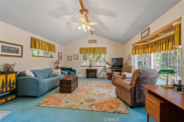 445 Cedar Cir, Lake Almanor, CA 96137 - photo 17