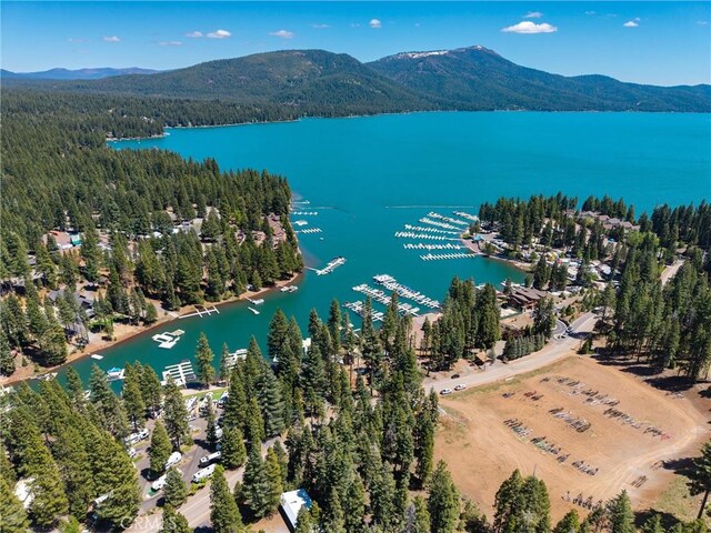 445 Cedar Cir, Lake Almanor, CA 96137 - photo 5