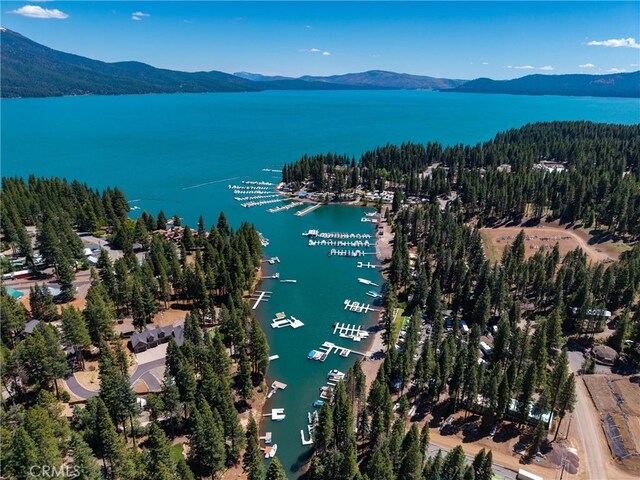 445 Cedar Cir, Lake Almanor, CA 96137 - photo 50