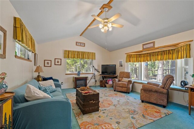 445 Cedar Cir, Lake Almanor, CA 96137 - photo 16