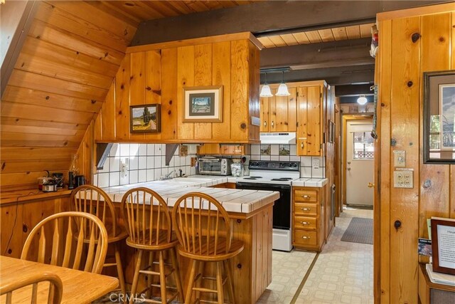 445 Cedar Cir, Lake Almanor, CA 96137 - photo 21