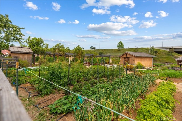 16 Fenix St, Rancho Mission Viejo, CA 92694 - view of yard featuring a garden