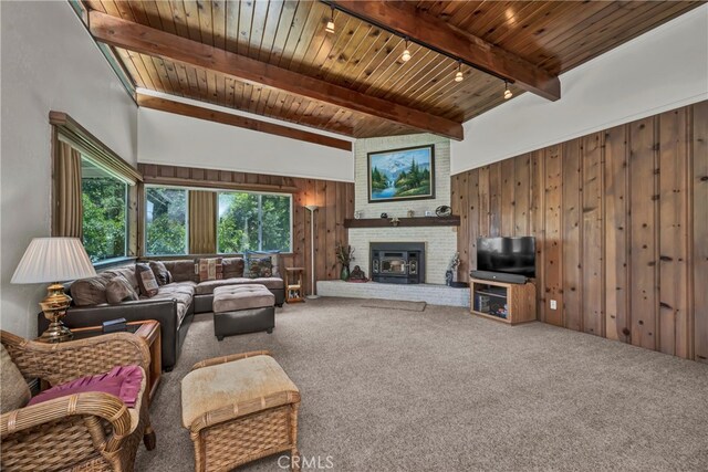 12255 Elk Mountain Rd, Upper Lake, CA 95485 - photo 13