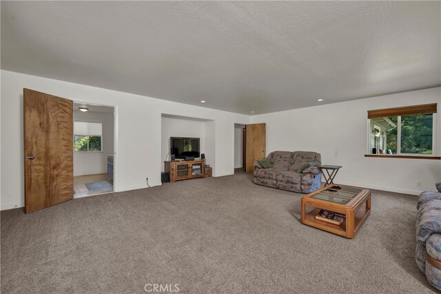 12255 Elk Mountain Rd, Upper Lake, CA 95485 - photo 26