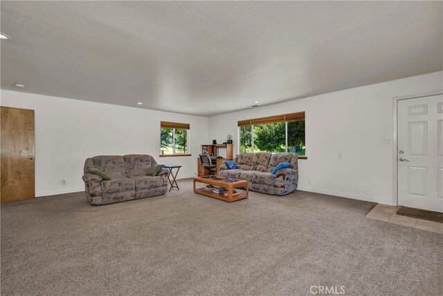 12255 Elk Mountain Rd, Upper Lake, CA 95485 - photo 28