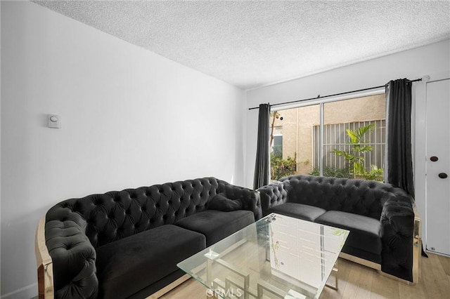 11025 Kittridge St Unit 128, North Hollywood, CA 91606 - living area with light wood-style floors and a textured ceiling