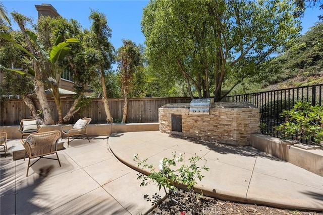 21 Mykonos, Laguna Niguel, CA 92677 - fenced backyard with an outdoor kitchen and a patio area