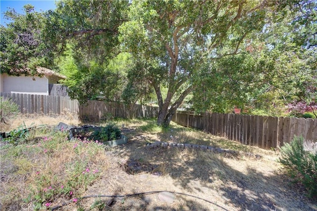 9024 Cascada Rd, Atascadero, CA 93422 - view of yard