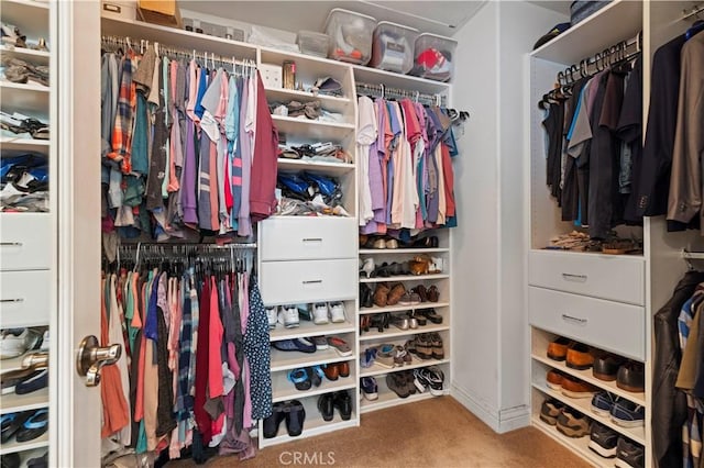 26520 Thackery Ln, Stevenson Ranch, CA 91381 - spacious closet with carpet floors
