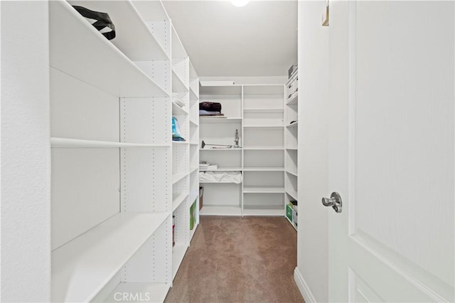 26520 Thackery Ln, Stevenson Ranch, CA 91381 - spacious closet featuring carpet floors