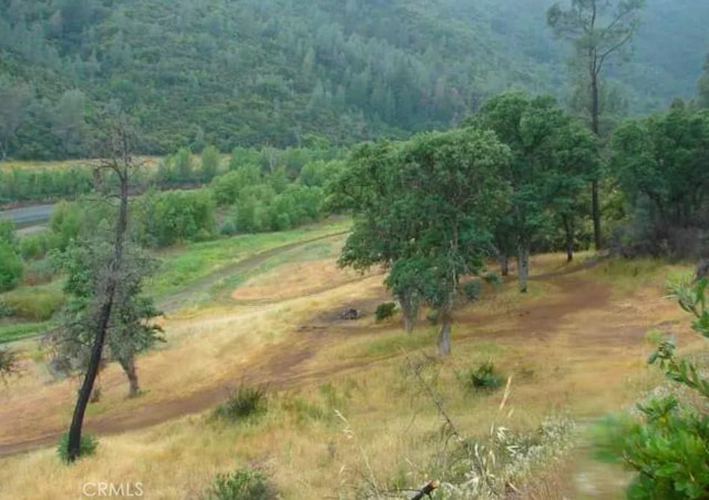 18524 Bartlett Springs Rd, Lucerne, CA 95458 - photo 7