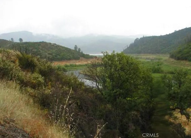 18524 Bartlett Springs Rd, Lucerne, CA 95458 - photo 5