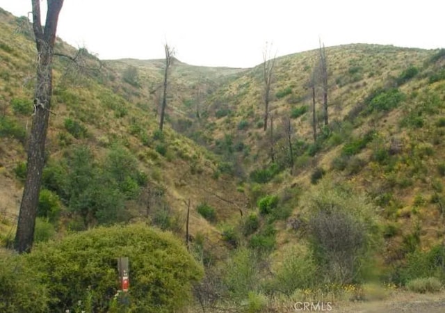18524 Bartlett Springs Rd, Lucerne, CA 95458 - photo 6