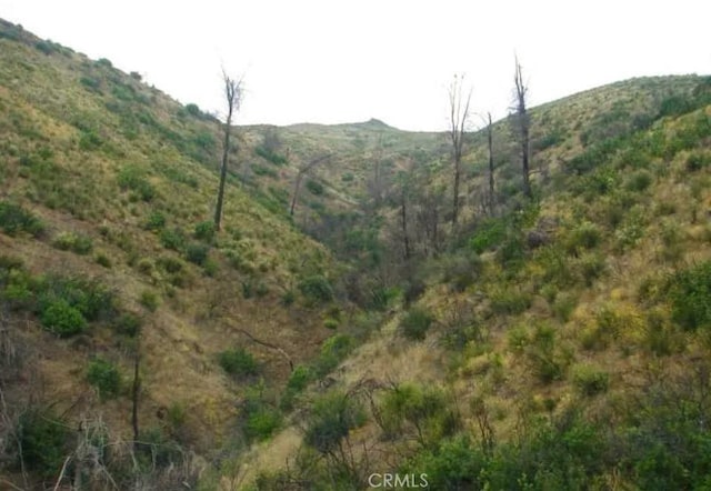 18524 Bartlett Springs Rd, Lucerne, CA 95458 - photo 2