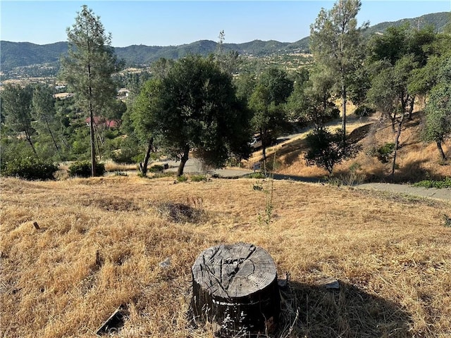10255 Carrousel Dr, Redding, CA 96001