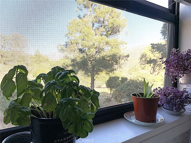 70020 Pines To Palms, Mountain Center, CA 92561 - photo 27