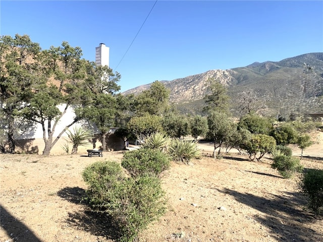 70020 Pines To Palms, Mountain Center, CA 92561 - photo 29
