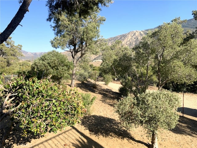 70020 Pines To Palms, Mountain Center, CA 92561 - photo 32
