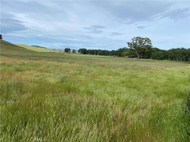 2730 Smith Ln, Clearlake, CA 95422 - photo 4