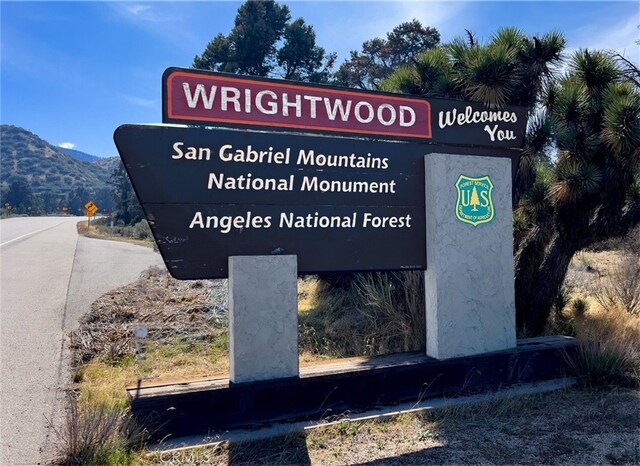 5482 Easter Dr, Wrightwood, CA 92397 - photo 59