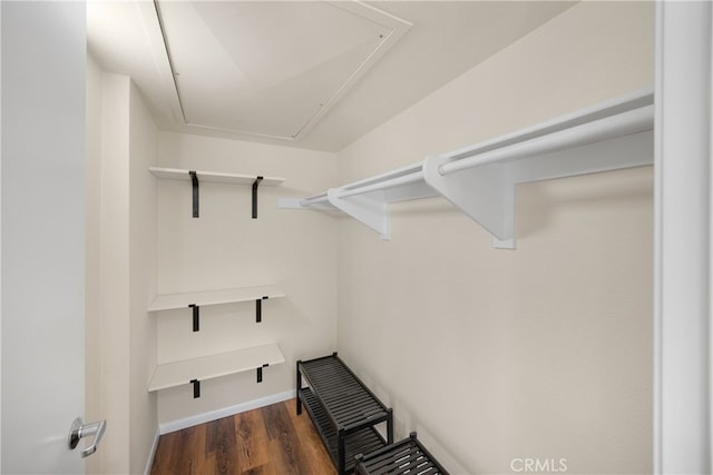 13115 Le Parc, Chino Hills, CA 91709 - walk in closet featuring attic access and wood finished floors