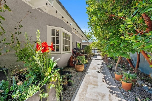19172 Sierra Maria Rd, Irvine, CA 92603 - view of property exterior with stucco siding