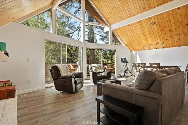 316 Pioneer Rd, Lake Arrowhead, CA 92352 - photo 4