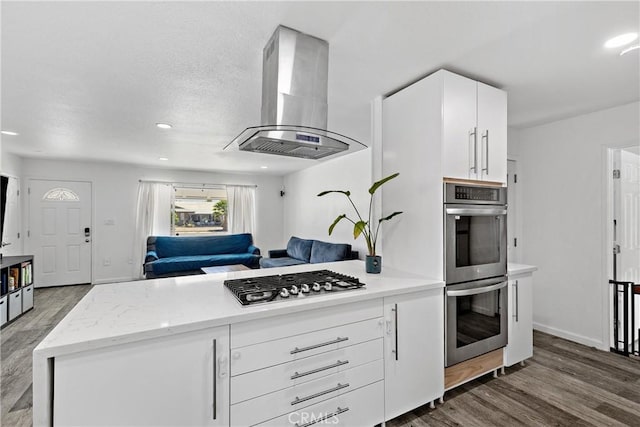 28799 Murrieta Rd, Menifee, CA 92586 - kitchen with exhaust hood, stainless steel appliances, open floor plan, wood finished floors, and white cabinetry