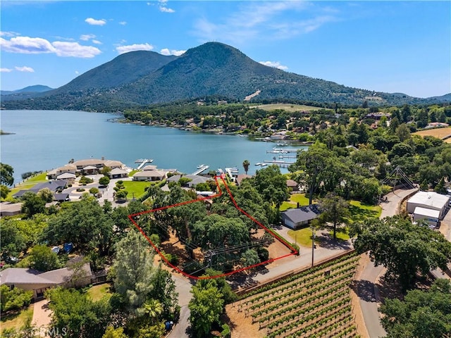 8475 Palace Dr, Kelseyville, CA 95451 - photo 46