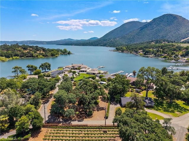 8475 Palace Dr, Kelseyville, CA 95451 - photo 45