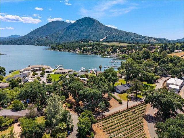 8475 Palace Dr, Kelseyville, CA 95451 - photo 47