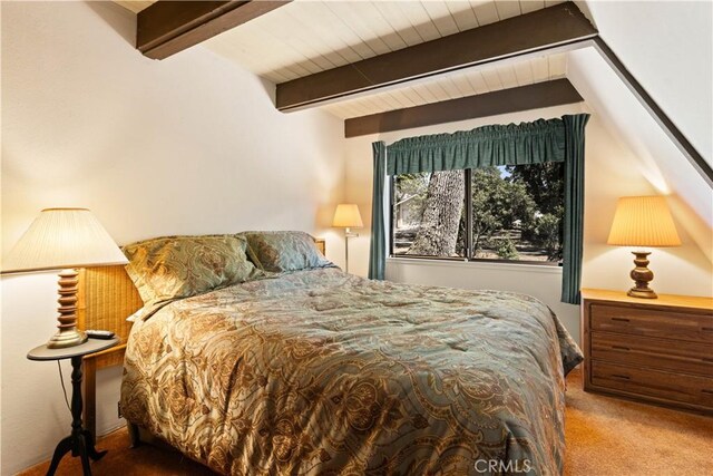 8475 Palace Dr, Kelseyville, CA 95451 - photo 20