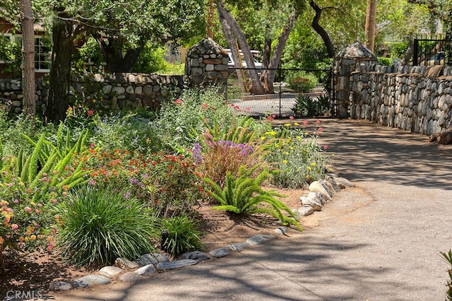 2057 Oakwood St, Pasadena, CA 91104 - view of yard
