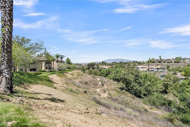 375 Central Ave Unit 173, Riverside, CA 92507 - view of yard with a mountain view