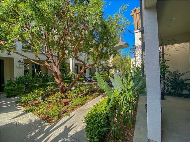 5 Abarrota St, Rancho Mission Viejo, CA 92694 - view of community