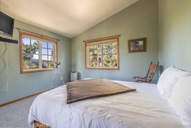 43942 Rainbow Ln, Angelus Oaks, CA 92305 - photo 40