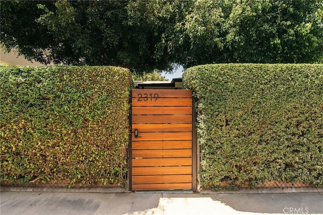 2319 S Corning St, Los Angeles, CA 90034 - view of gate