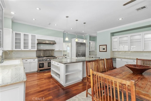 36475 Avenida La Cresta, Murrieta, CA 92562 - kitchen with a sink, high quality appliances, open shelves, under cabinet range hood, and decorative backsplash